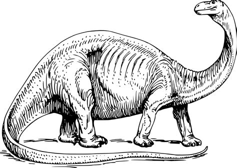 dinosaurs clipart|dinosaur clipart black and white.